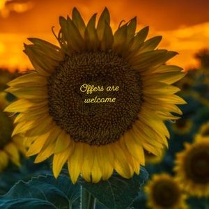 Offers are welcome !!